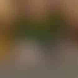 Vânătoare de comori pentru copii în natură