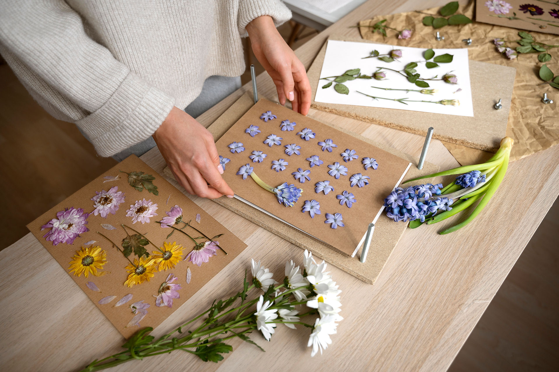 Presarea florilor - Activitati pentru copii Gradinita Online