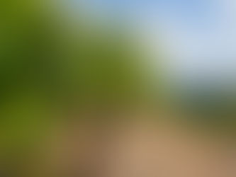 Colline della Valpolicella ricoperte di vigneti dai colori autunnali