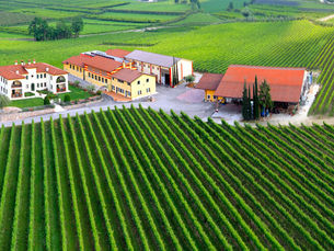 Monte del Fra'