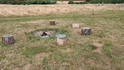 Logs & fire site