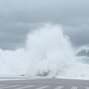 very windy Dunedin.jpg