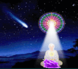 image (11).gif