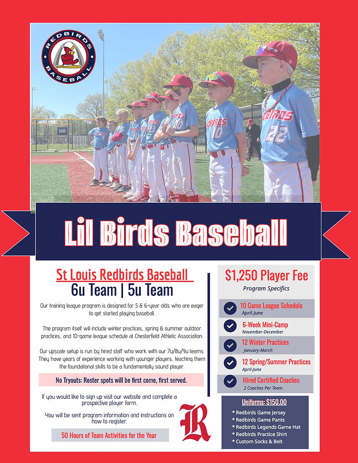 Lil Birds _ 2027 Main .jpg
