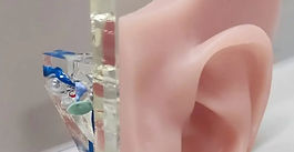 Our Award-winning Print of the Month