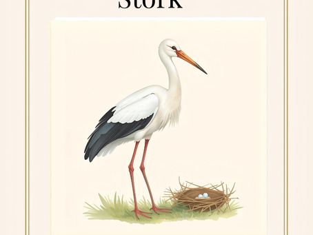 Stork Lenormand card meaning — symbol of change, movement, and progress in readings."