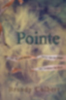 Pointe paperback.jpg