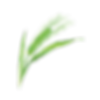 Barley.png