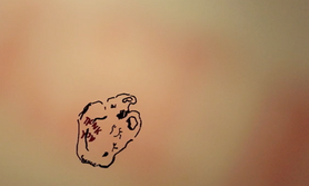 Screen Shot 2020-04-28 at 9.05.59 AM.png