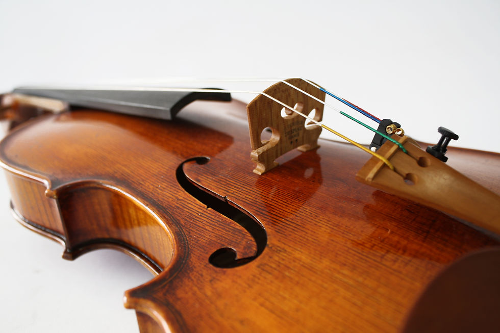 Miniatura: Violín Raul Emiliani, de Eastman® , VL928