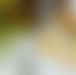 Why Is Yellow Sapphire So Popular in Astrology and Jewelry?