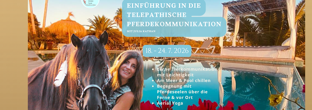 Magic Horse Talk Retreat Story Insta (Website).png