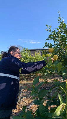 WhatsApp Image 2026-03-01 at 12.40.08 (1).jpeg