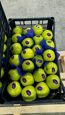 WhatsApp Image 2026-03-01 at 19.59.28.jpeg