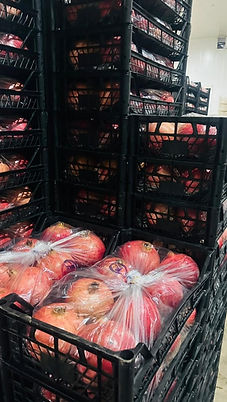 WhatsApp Image 2026-03-01 at 19.59.412.jpeg