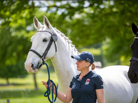 Pros and Cons of Self-Employment in the Equine Industry