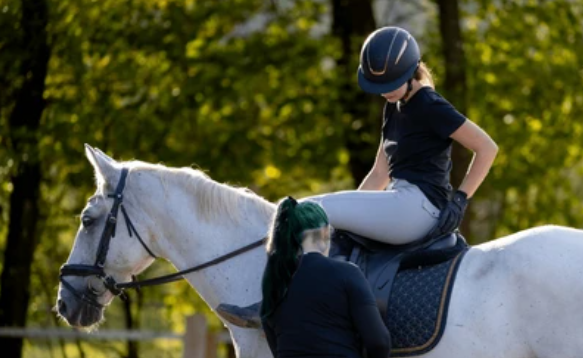 SADDLE FITTING INSIGHTS - MAY EDITION