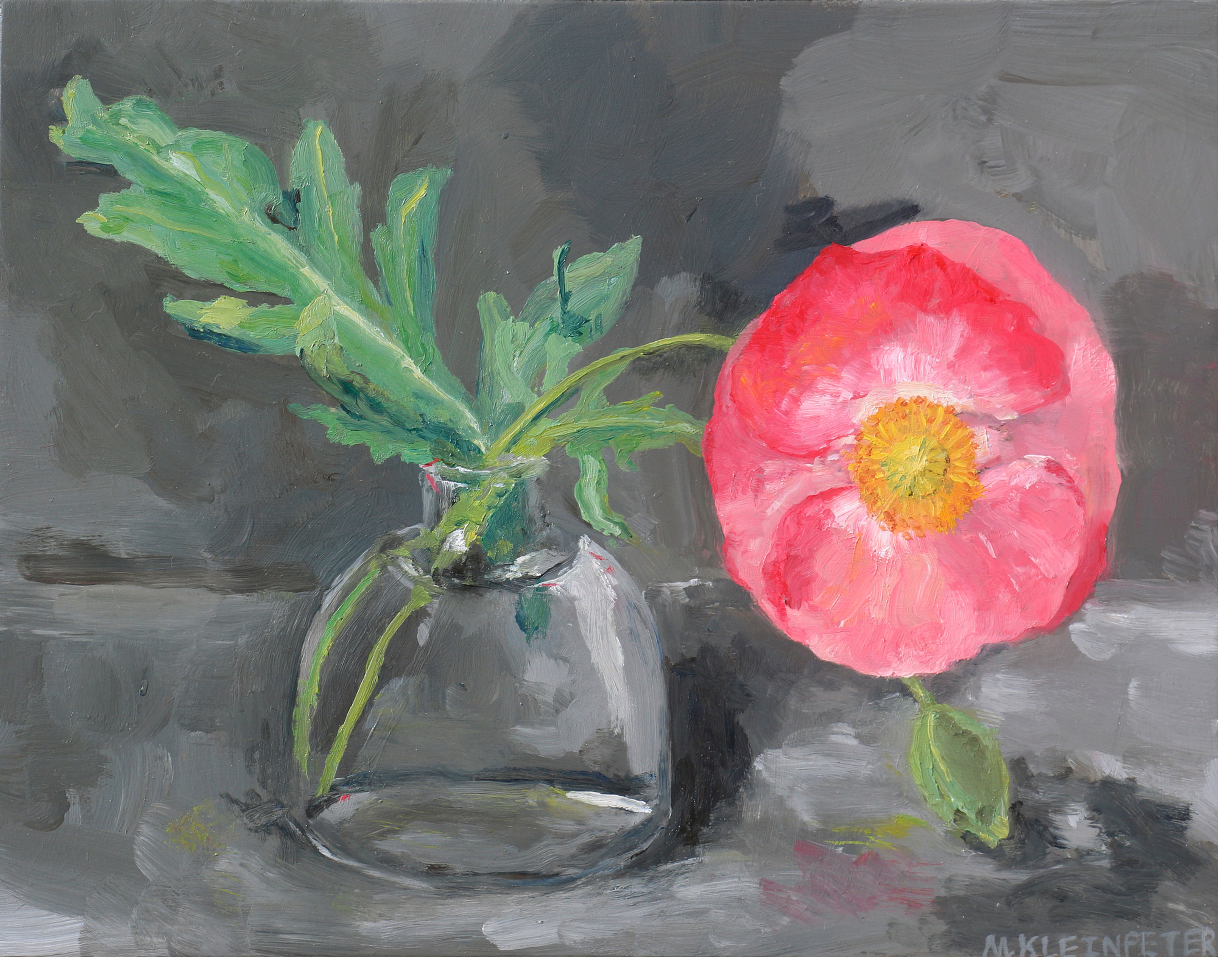 One Pink Poppy