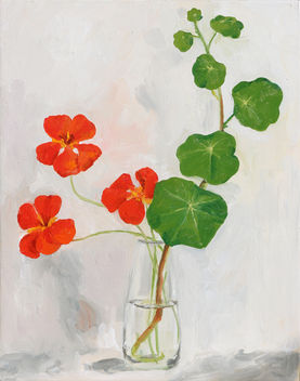 Nasturtiums, Oil Painting, Flower Painting, Maggie Kleinpeter