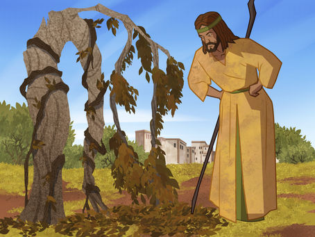 The Plant That Taught a Prophet About Compassion