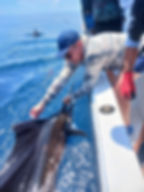 Sport Fishing Tours Allan Adventures at Dreams Las Mareas Resort Costa Rica La Cruz Guanacaste