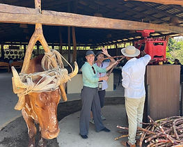 Allan Adventures Costa Rica Pura Vida Dreams las Mareas IIV