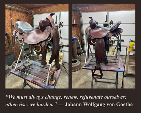 Breaking Down the Saddle