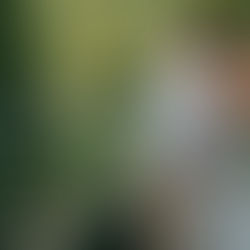 Prophecy Creek Engagement / Lauren & Nick / By Allie