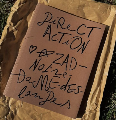 couv DIRECT ACTION
