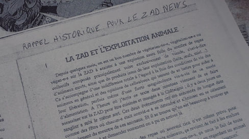 zadnews-2015-exploitanimale