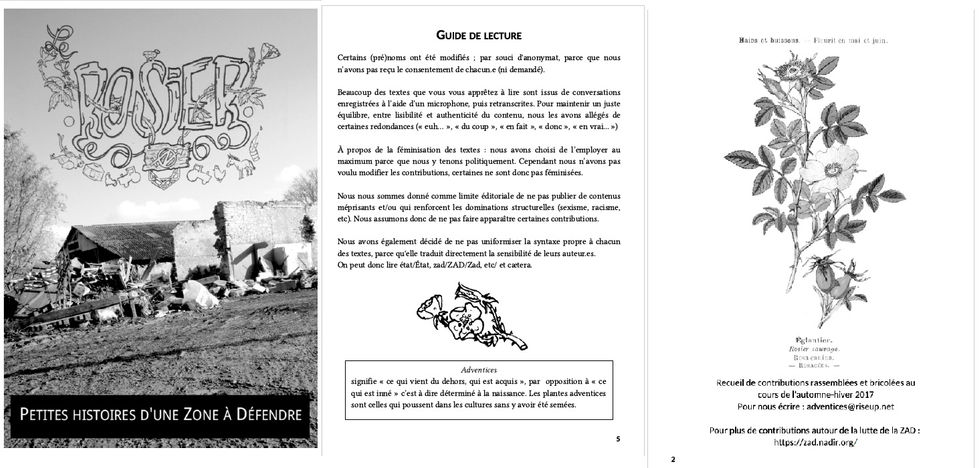 le-rosier-adventices-2017