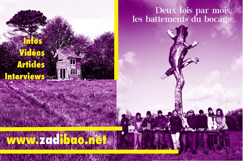 zadibaofinalmail