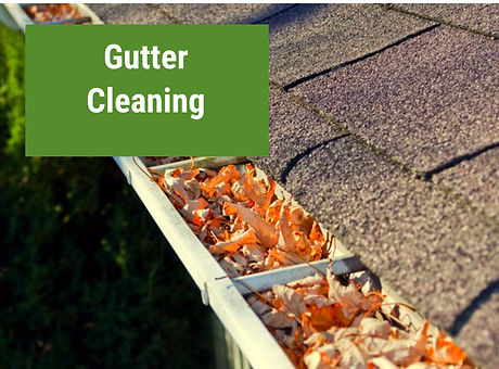 Gutter Cleaning .jpg
