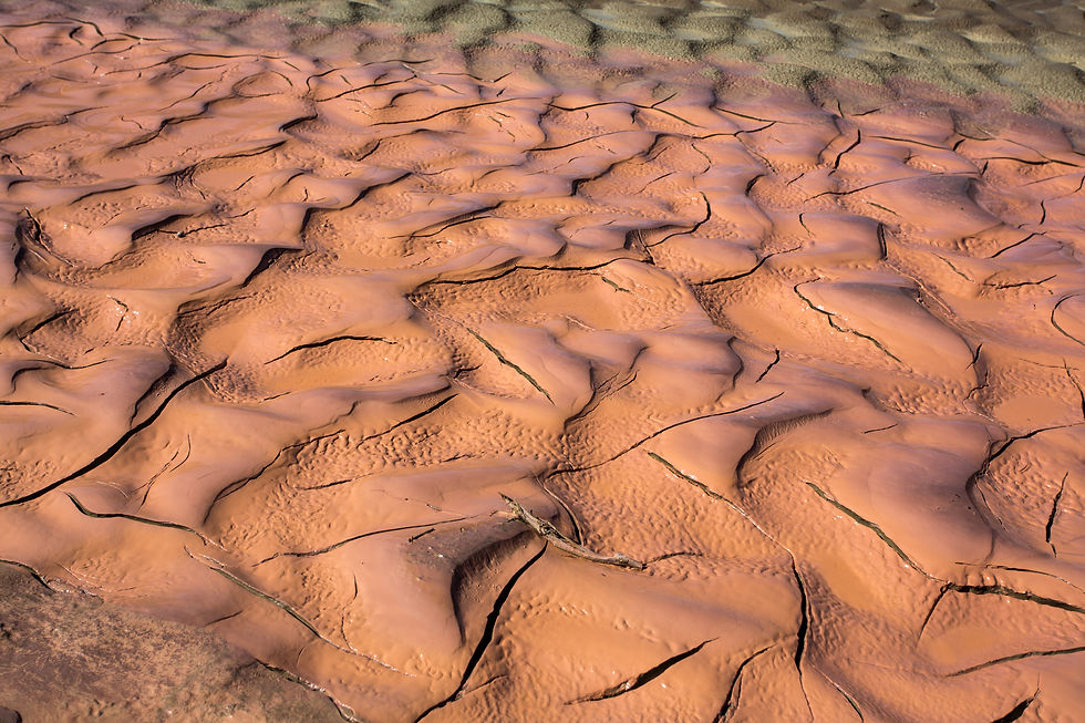 Paria Canyon Mud Hues - Utah