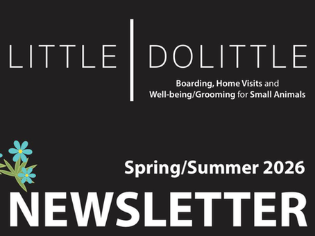 Spring/Summer 2026 Newsletter – Everything You Need to Know!
