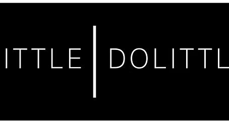 Professional Guinea Pig Grooming and Well-being at Little Dolittle