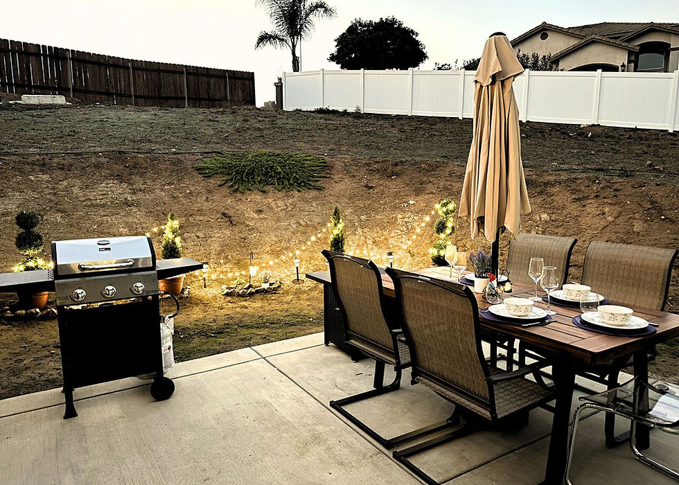 16.Backyard, lit garden, set table
