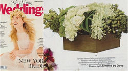 New York Magazine