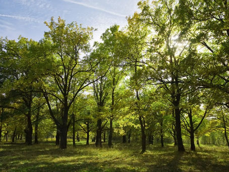 Unitarian Universalist Men’s Fellowship Spring Renewal