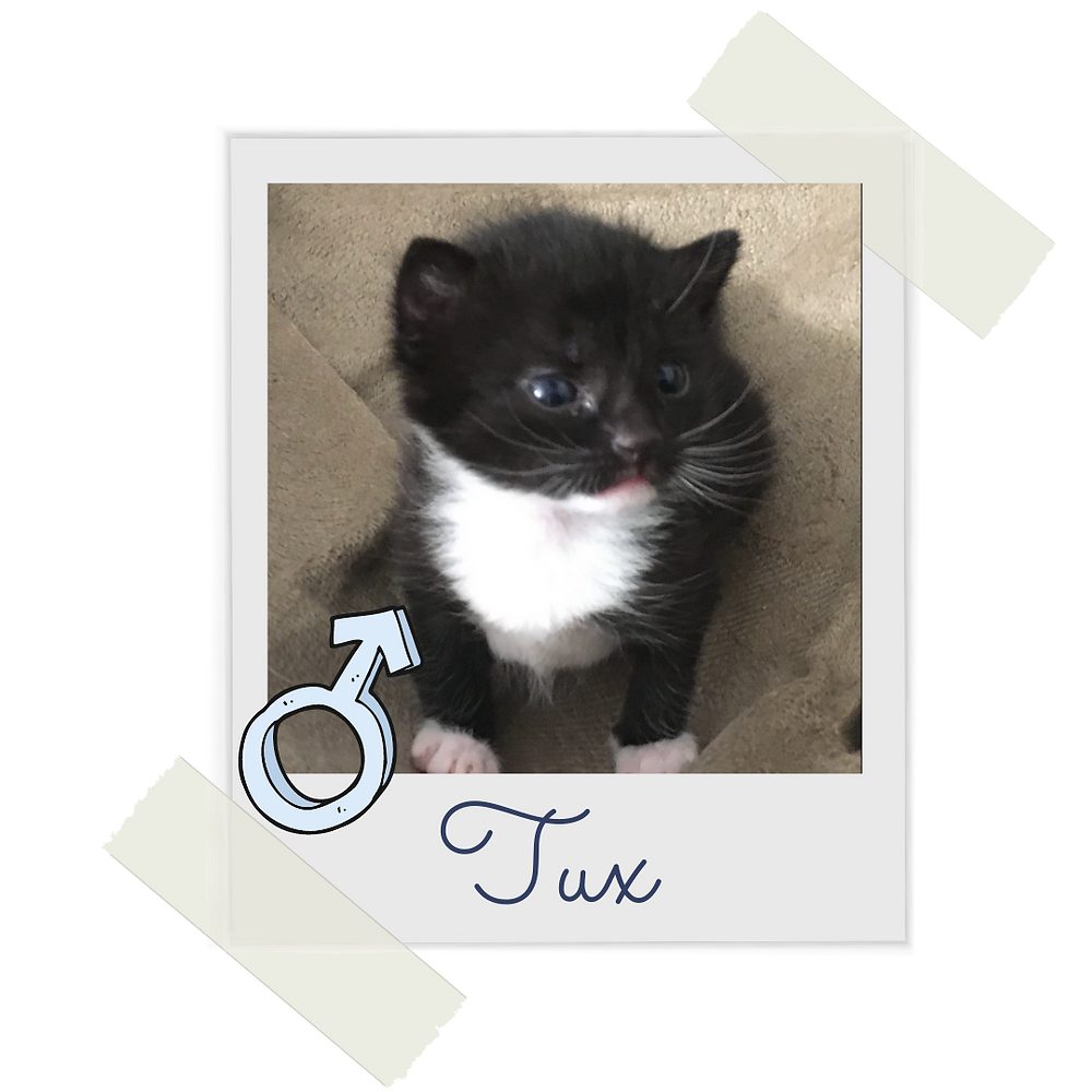 Tux