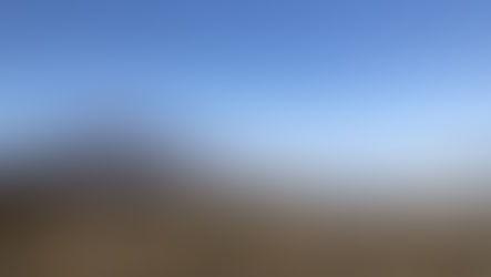 山中湖パノラマ台のすすき