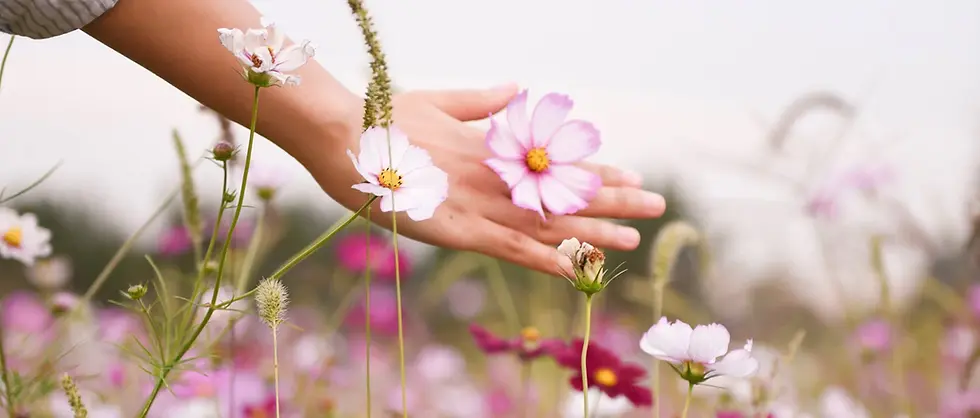 Le rôle des émotions au printemps et comment les apaiser