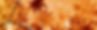 maple-gddee52276_1920.jpg