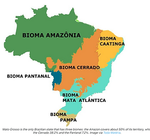 Bildschirmfoto 2022-04-30 um 15.21.43.png