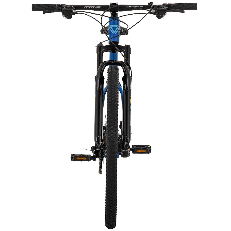 Miniatura: BICICLETA MTB 29P 2X9 VEL JAGUAR ALUMINIO GW