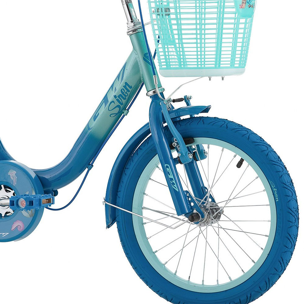 Miniatura: BICICLETA INFANTIL NIÑA 16P SIREN GW