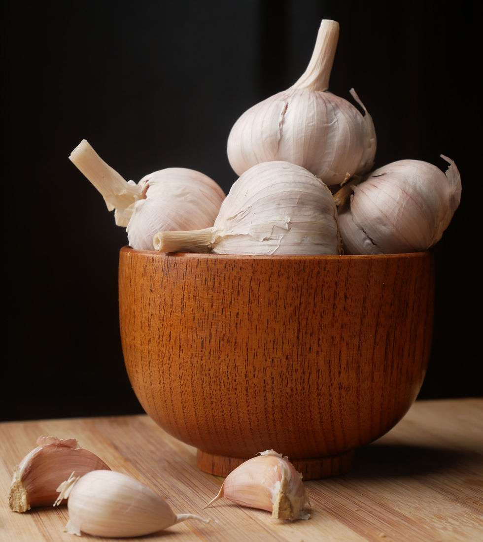 Garlic