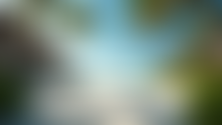 Top 10 Sandals Resorts in the Caribbean Reviewed