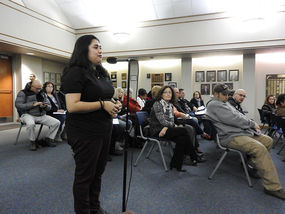Celeste speaking at a meeting held on 11/12/2018 by Gurnee Village Board about EtO pollution.