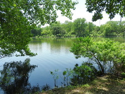 Beaubien Woods